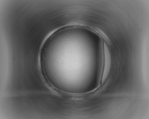 X0000113630788200909251220