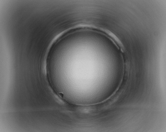 X0000113630791200909251219