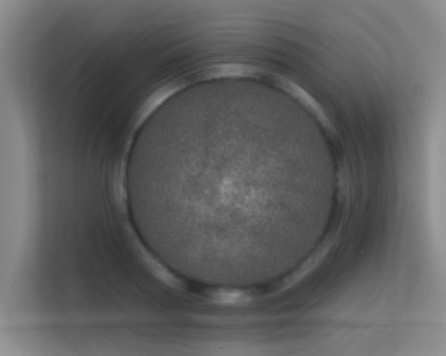 X0000113630794200909251219