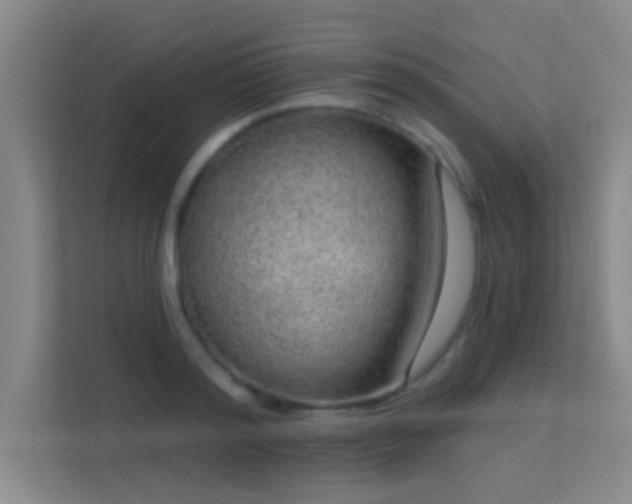 X0000113630796200909251219