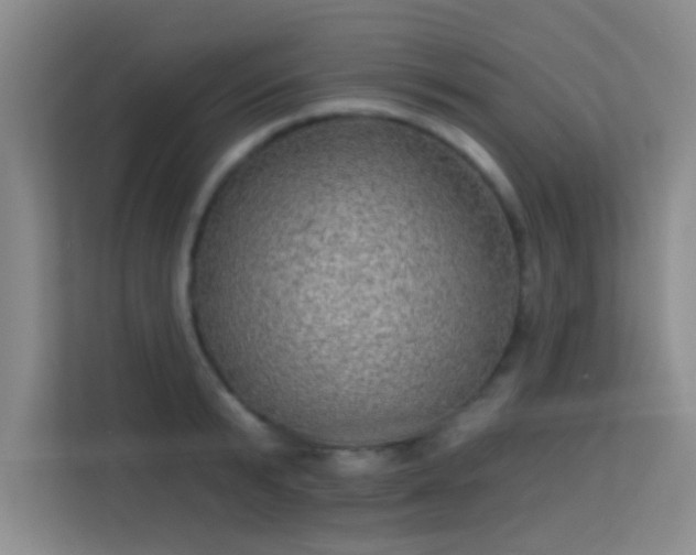 X0000113630799200909251219