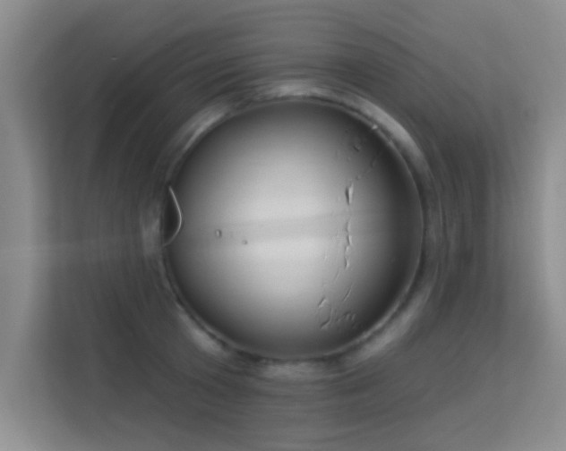 X0000113630801200909251219