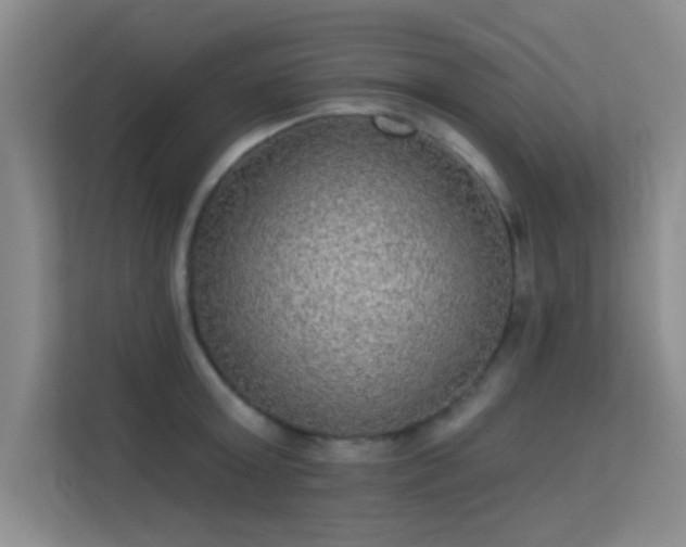 X0000113630803200909251219