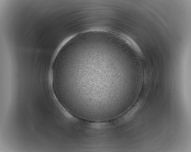 X0000113630804200909251219