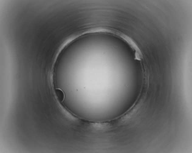 X0000113630805200909251219