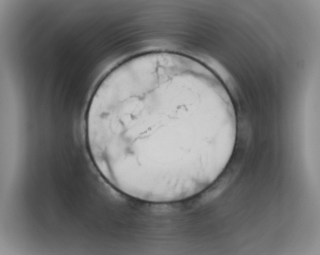 X0000113630807200909251219