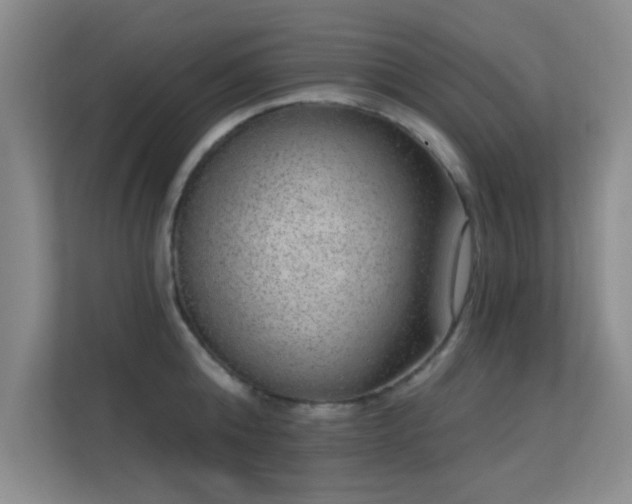 X0000113630808200909251219