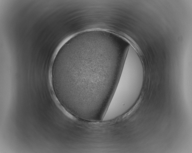X0000113630812200909251219
