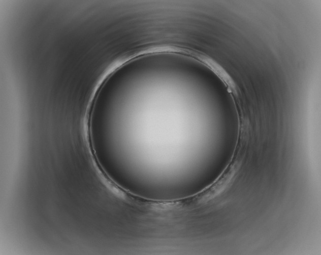 X0000113630813200909251219