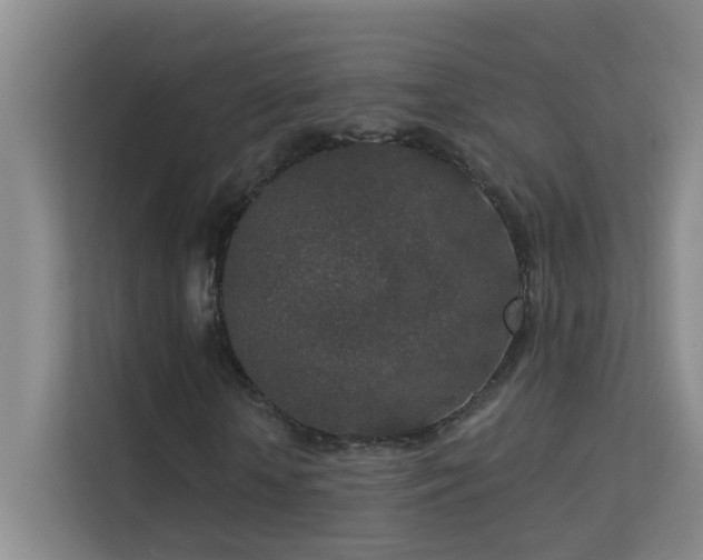 X0000113630818200909251219