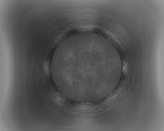 X0000113630819200909251219