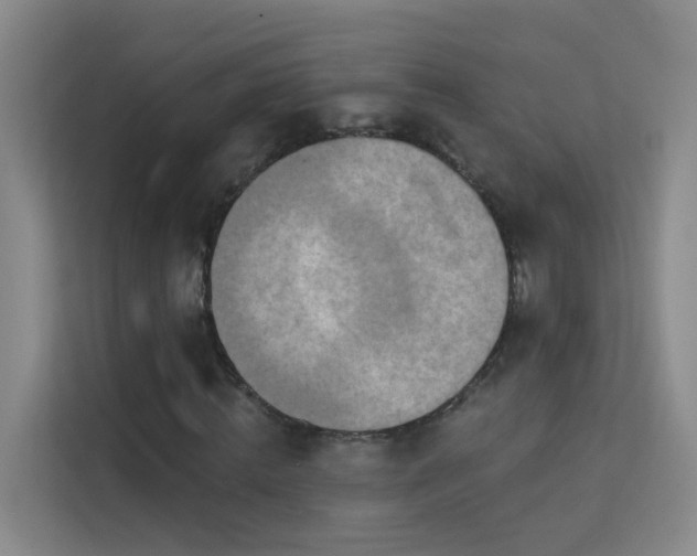 X0000113630820200909251219