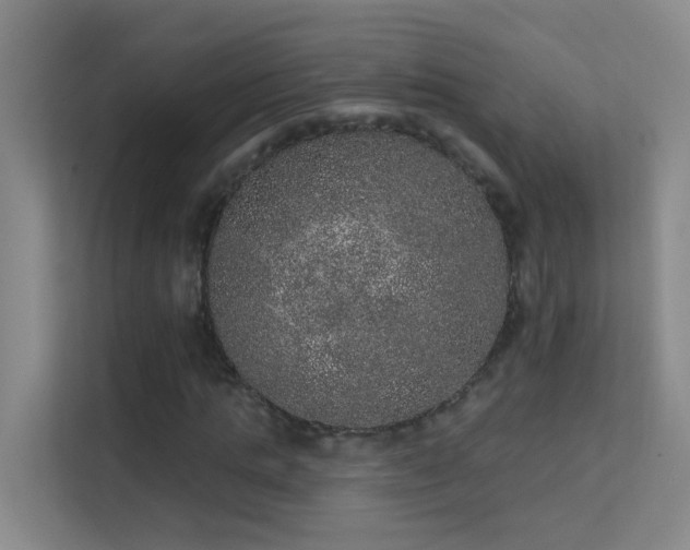 X0000113630821200909251219