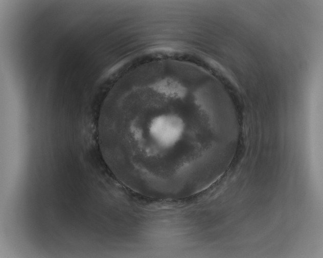X0000113630822200909251219