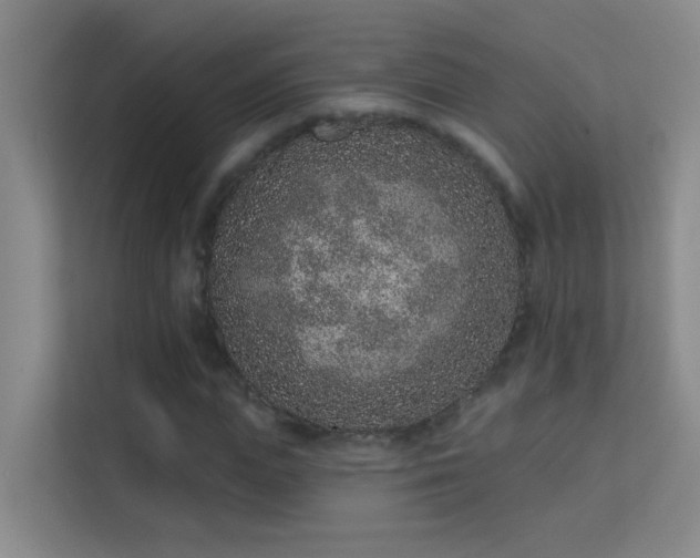 X0000113630823200909251219