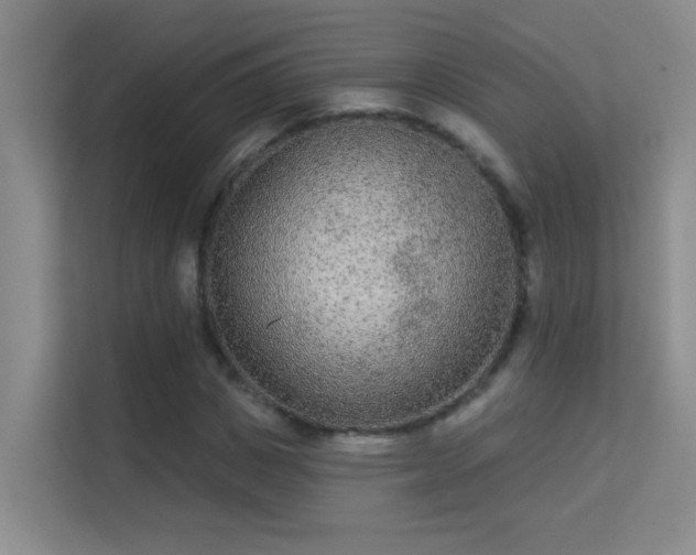 X0000113630825200909251219