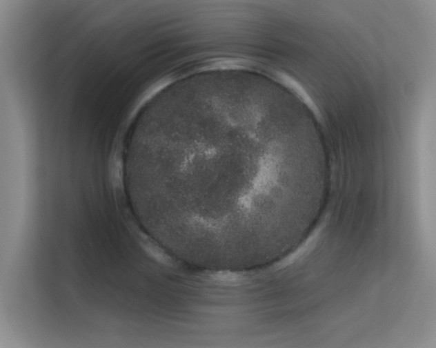 X0000113630827200909251219