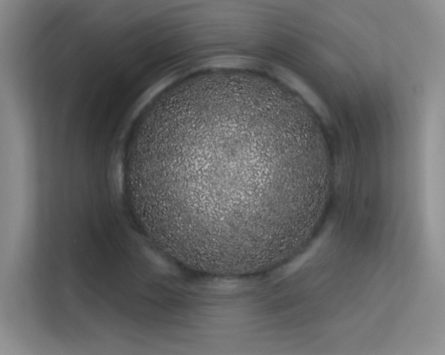 X0000113630829200909251219