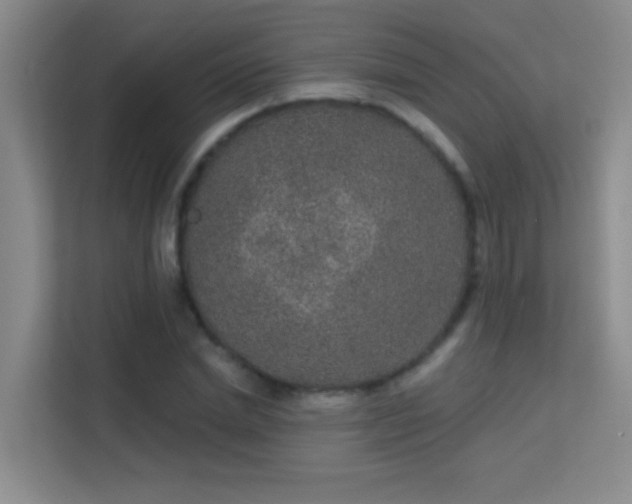 X0000113630830200909251219