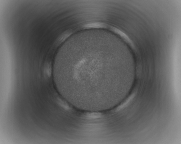 X0000113630833200909251219