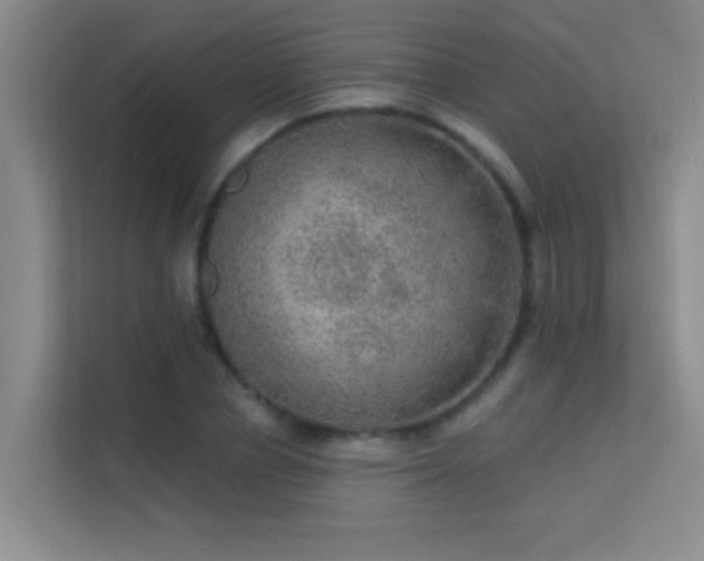 X0000113630834200909251219