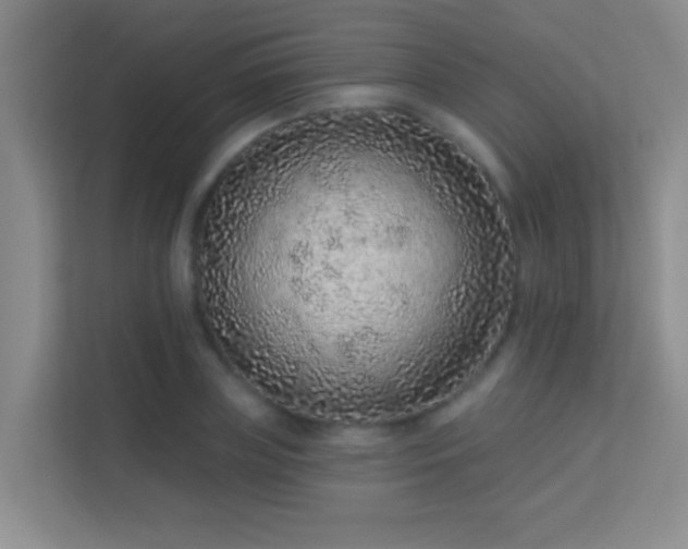X0000113630835200909251219
