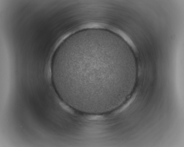 X0000113630837200909251219