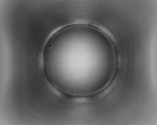 X0000113630838200909251219