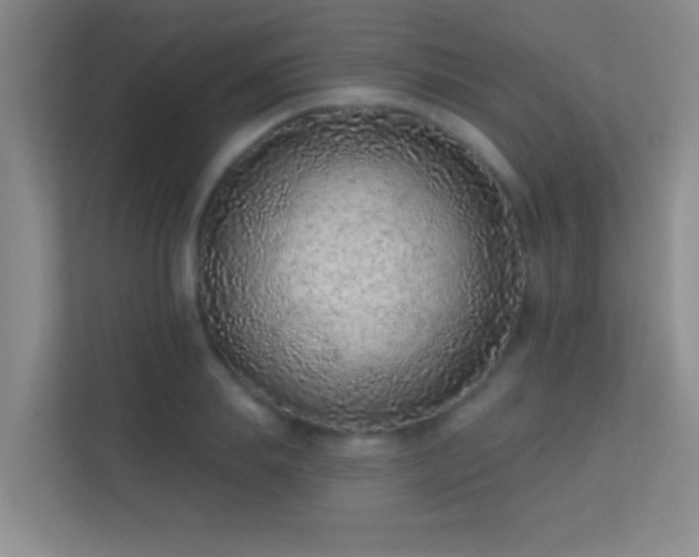 X0000113630839200909251219