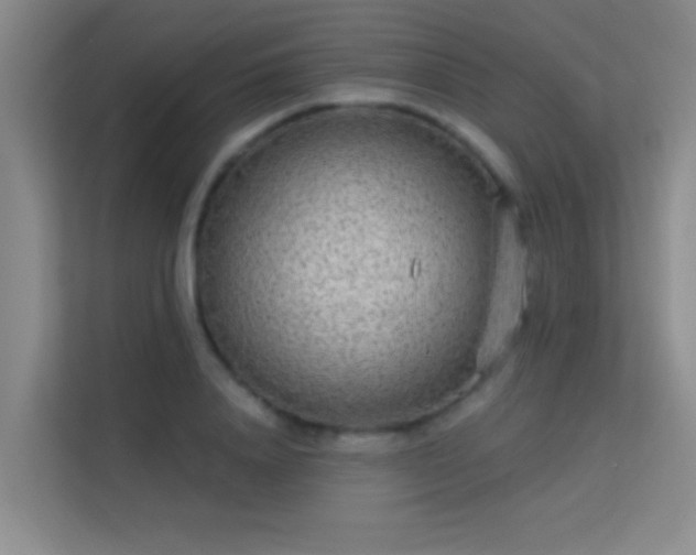 X0000113630840200909251219