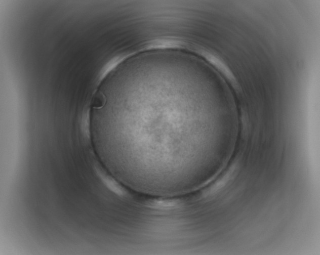 X0000113630842200909251219