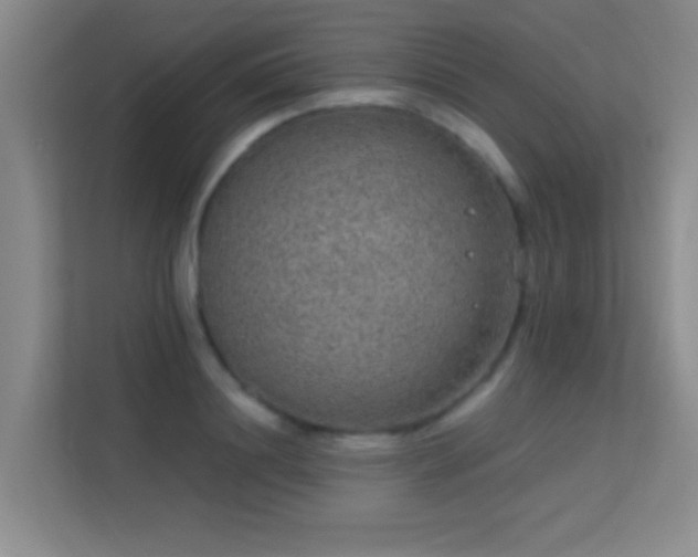 X0000113630844200909251219