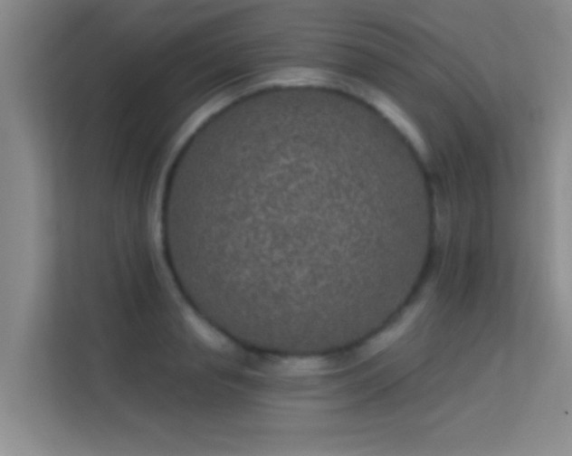 X0000113630845200909251219