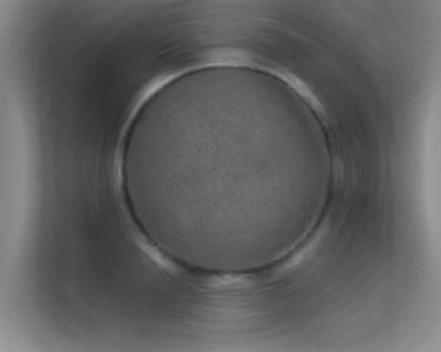 X0000113630846200909251219