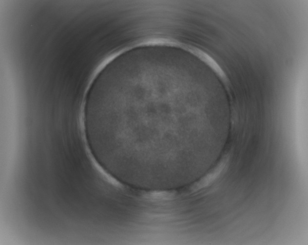 X0000113630847200909251219