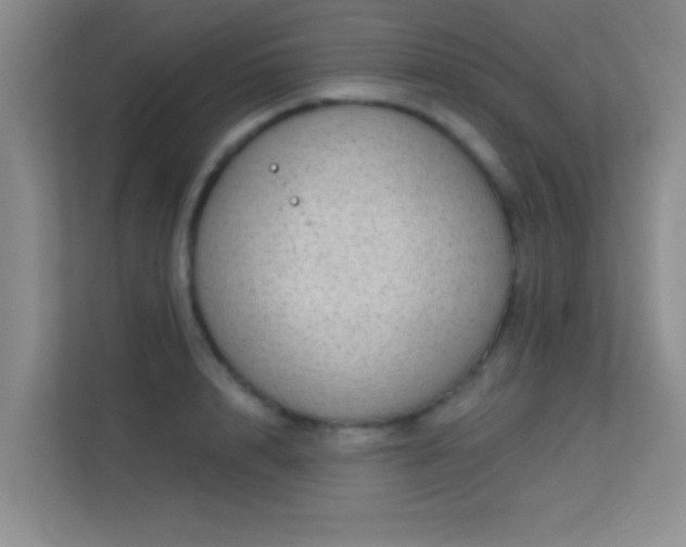 X0000113630848200909251219