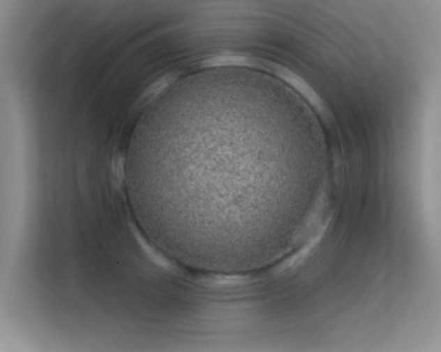 X0000113630849200909251219