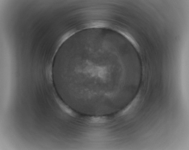 X0000113630850200909251219