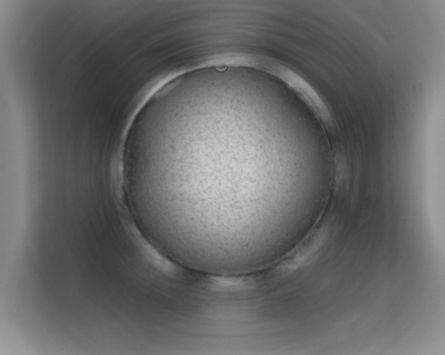 X0000113630852200909251219