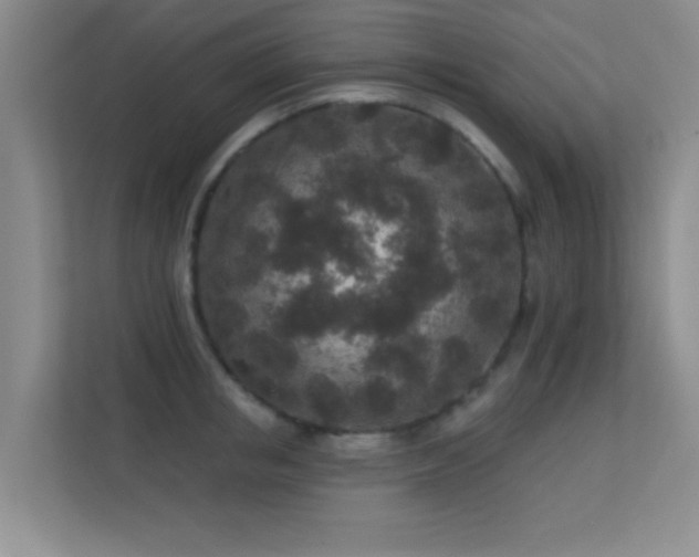 X0000113630853200909251219