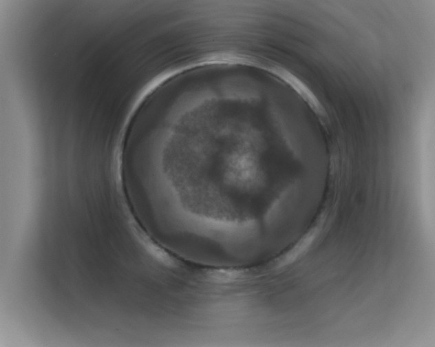 X0000113630854200909251219