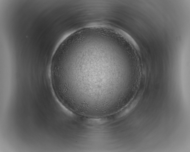 X0000113630855200909251219