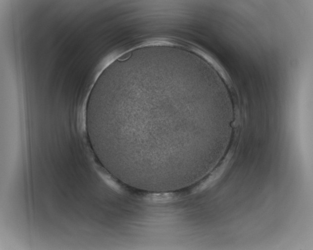 X0000113630858200909251219