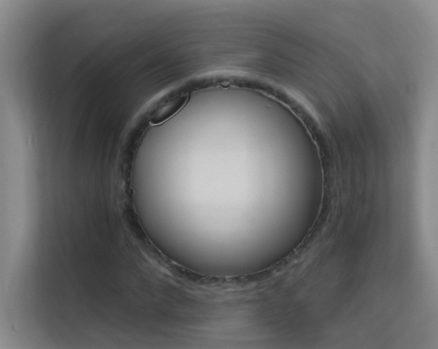 X0000113630872200909251218
