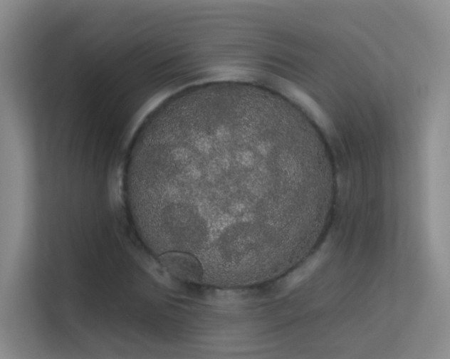 X0000113630875200909251218