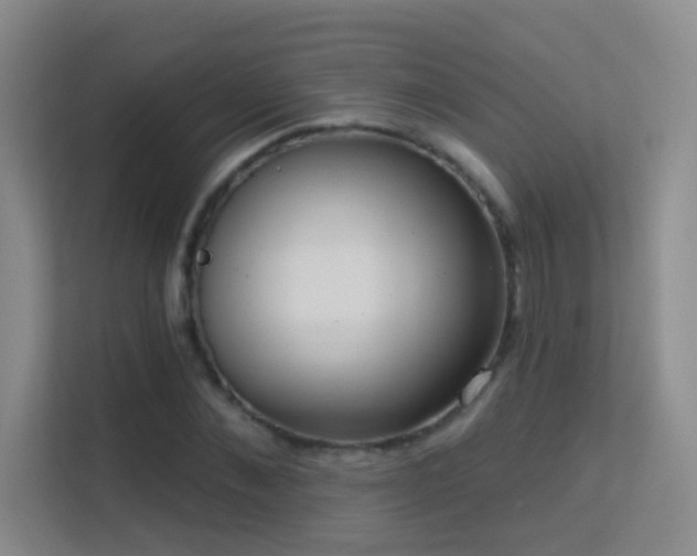 X0000113630876200909251218