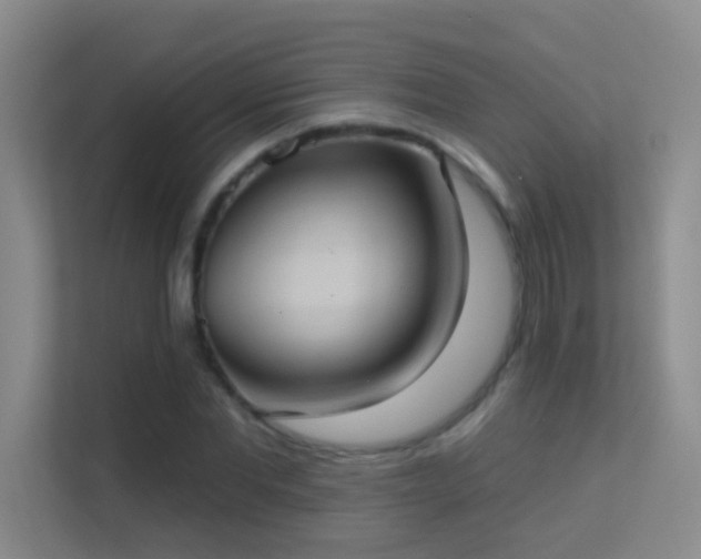 X0000113630877200909251218