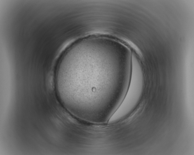 X0000113630878200909251218