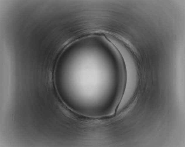 X0000113630881200909251218