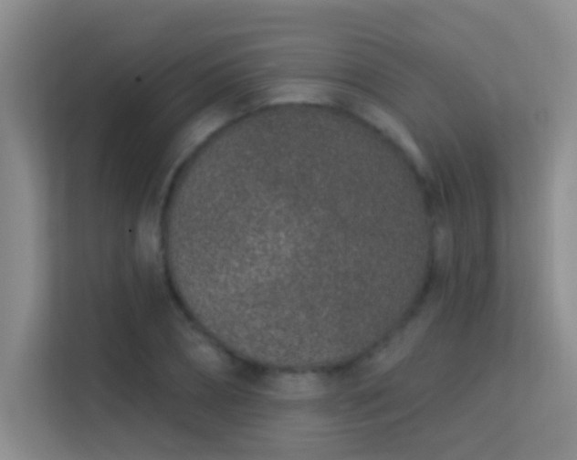 X0000113630882200909251218